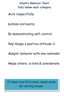 <center>Behavior plan</center>